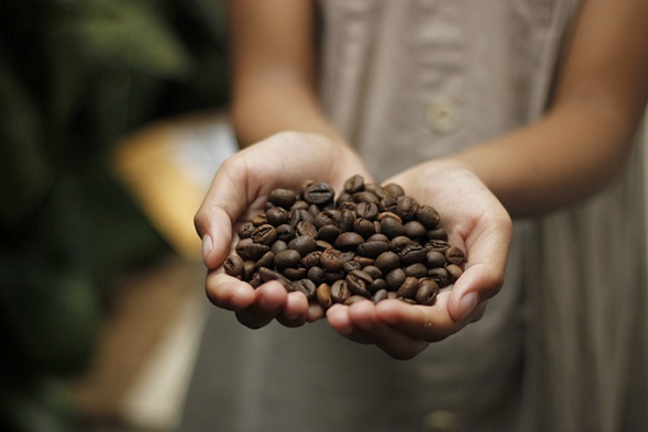 Café un poderoso elixir para tu mente y tu alma.